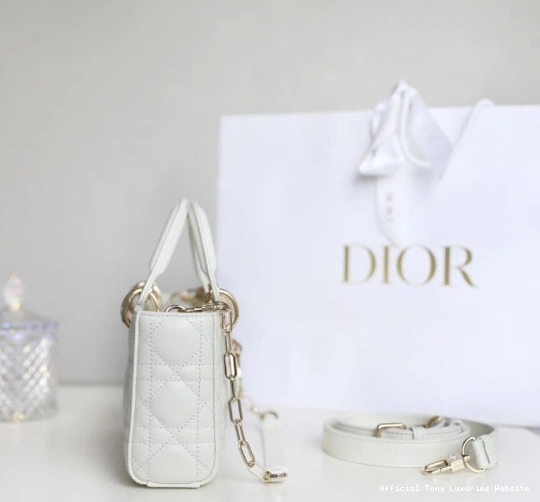 Tony Luxuries D-JOY BAG LADY diro 0713